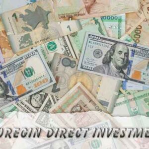 foreign direct investment hologram