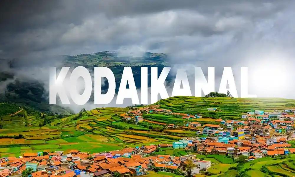 hologram stickers supplier in kodaikanal