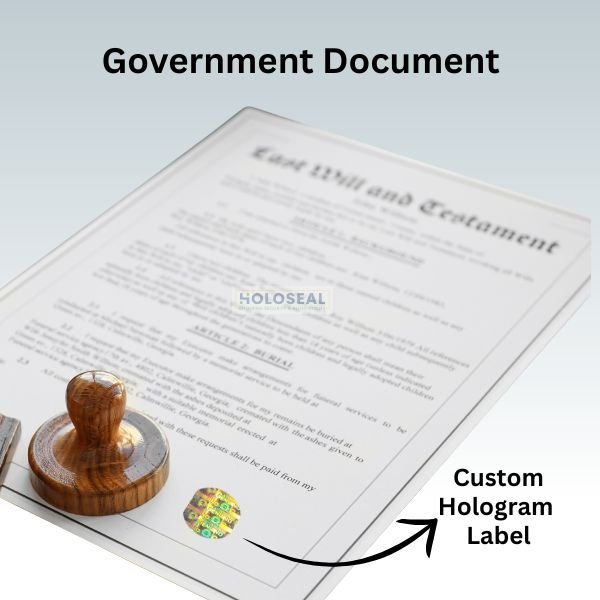 Government Sector